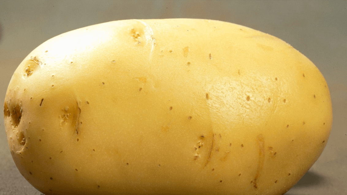 правила защиты семян картофеля после уборки