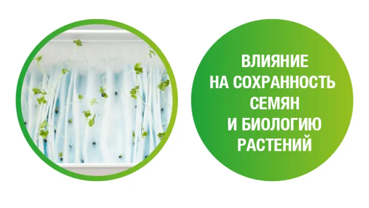 Влияние на сохранность семян и биологию растений, фото