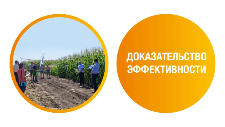 Доказательство эффективности, фото