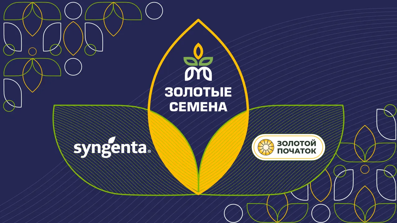 Локализация семян подсолнечника, фото