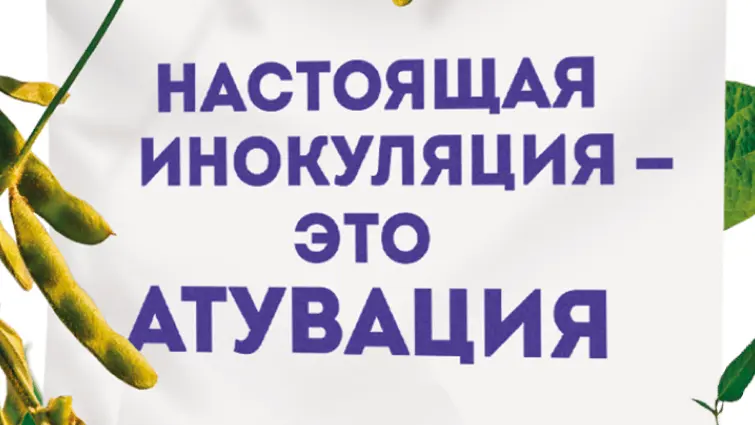 Инокулянт последнего поколения для российских почв