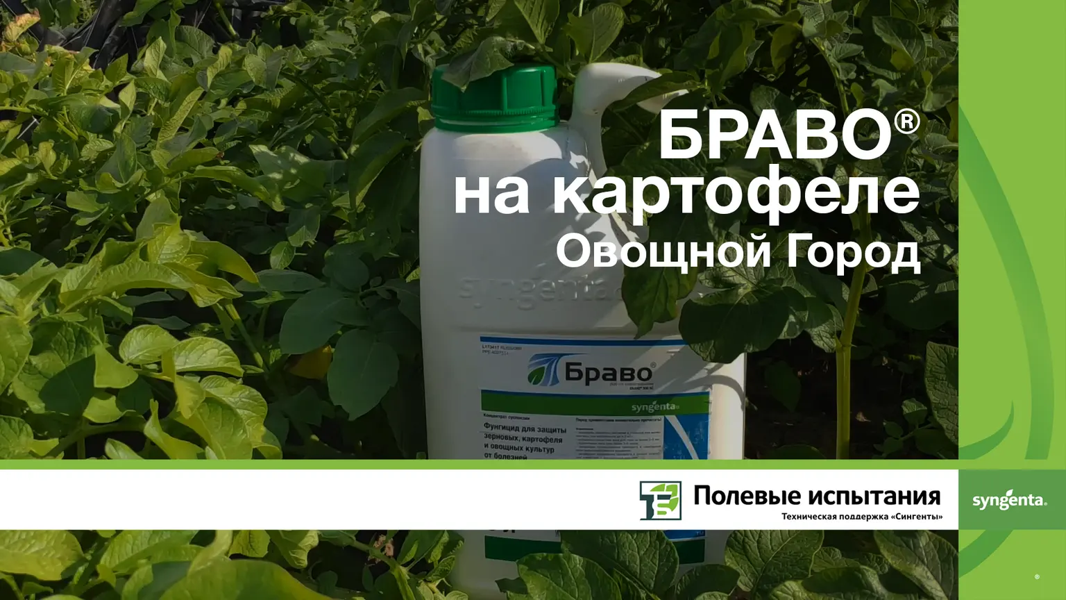 Браво 