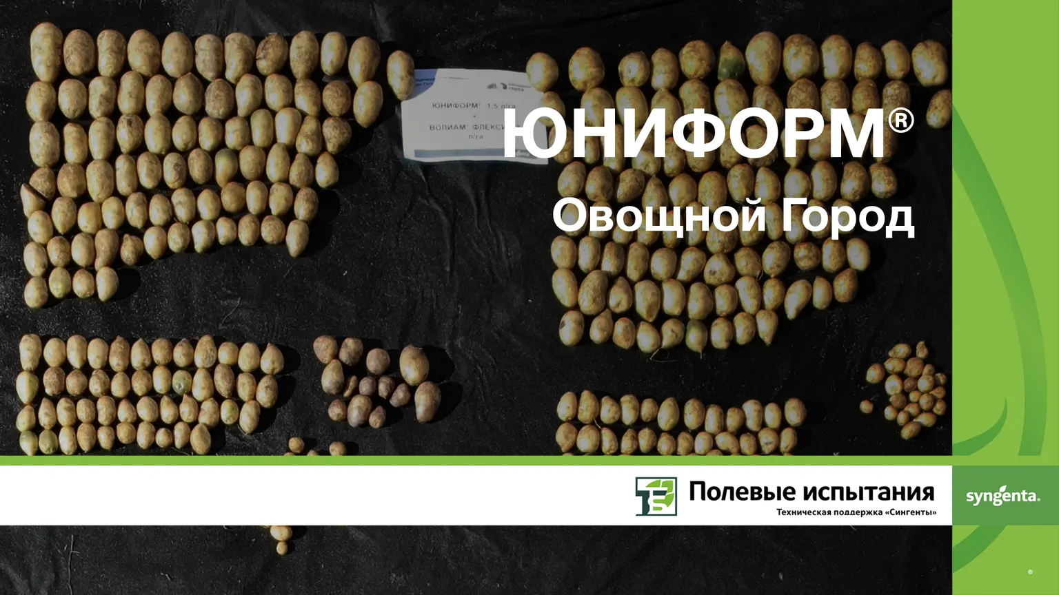 Урожайность Юниформ