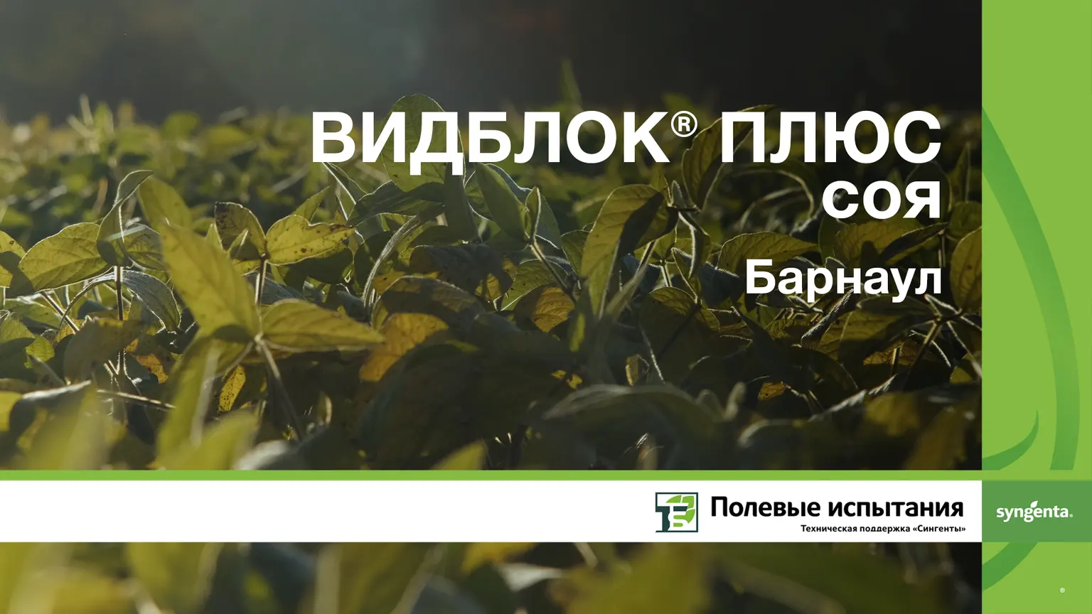 Видблок плюс