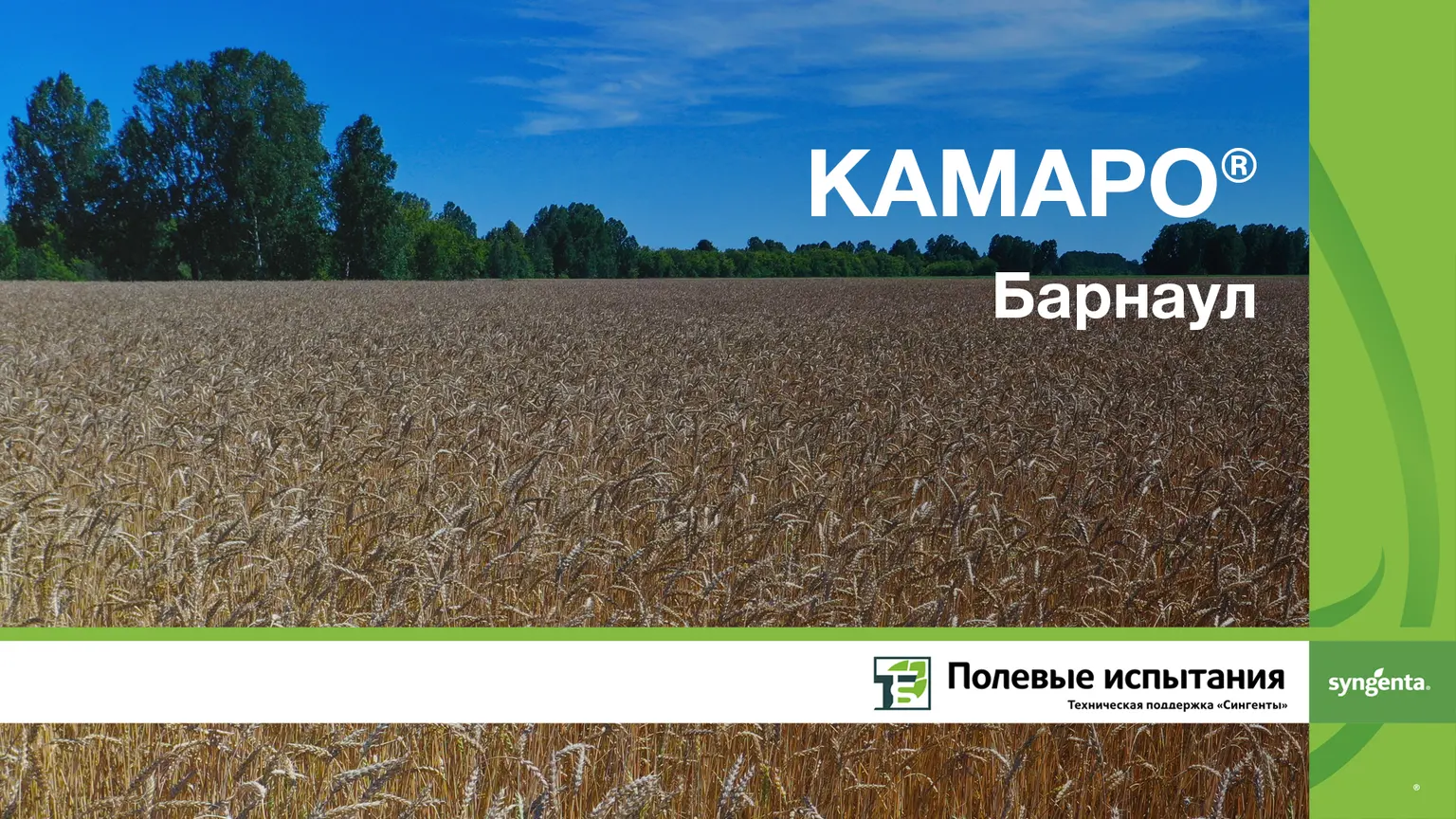 Камаро