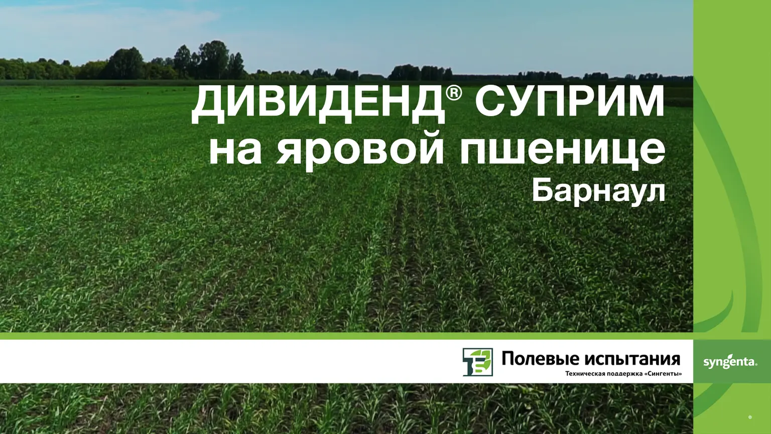 Дивиденд суприм на яр пшенице