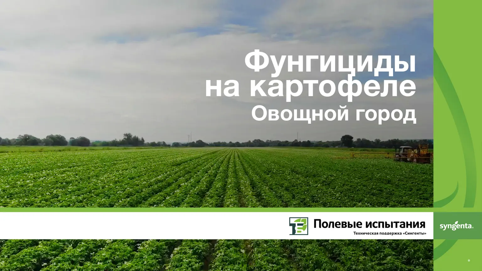Фунгициды на картофеле