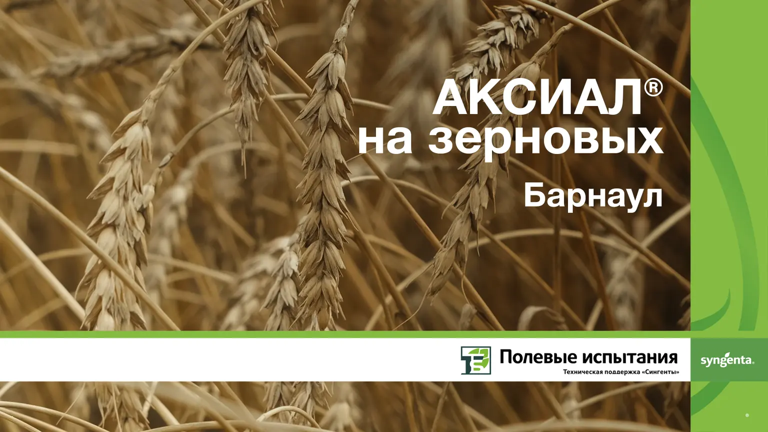 АКСИАЛ® на зерновых, Полевой Город Барнаул