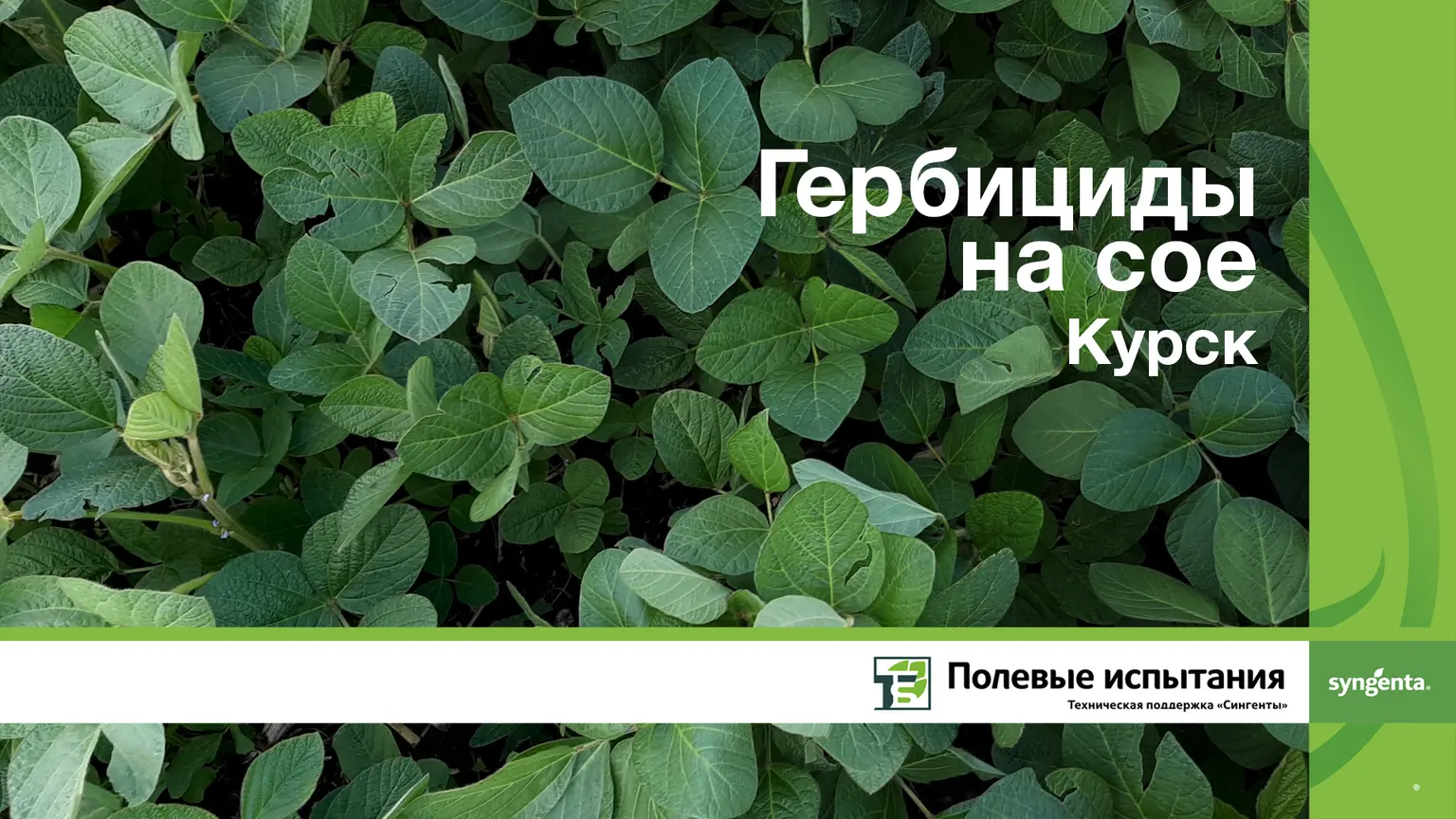 Видблок и гардо на сое