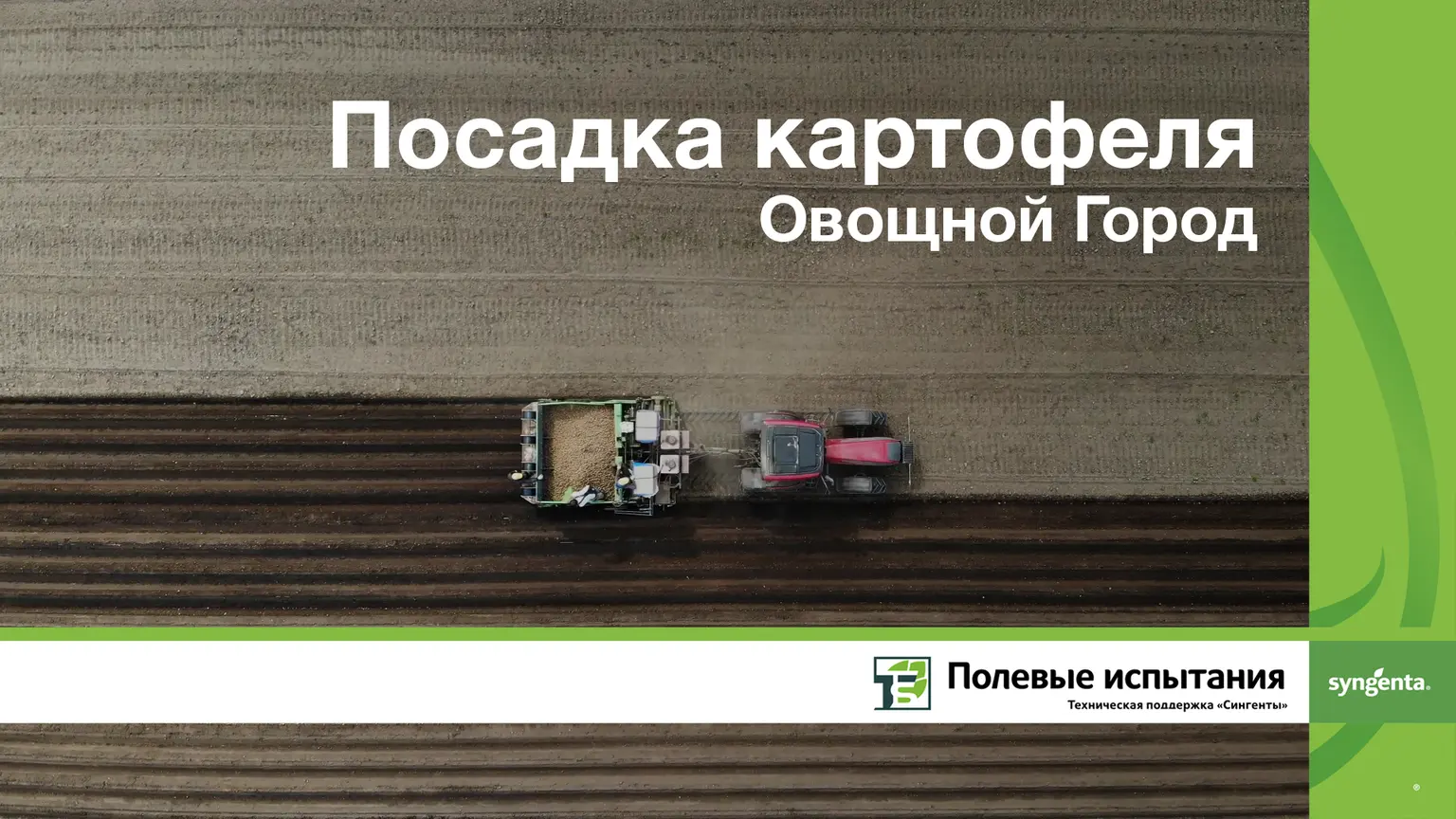 Посадка картофеля