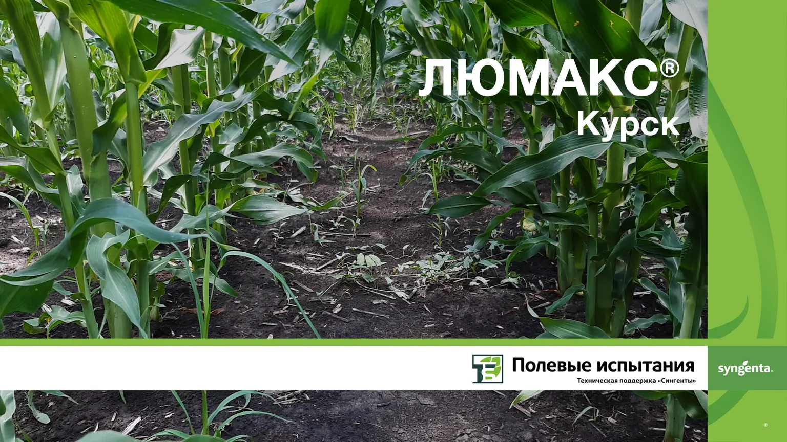 Люмакс