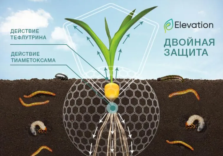 Уровни защиты всходов