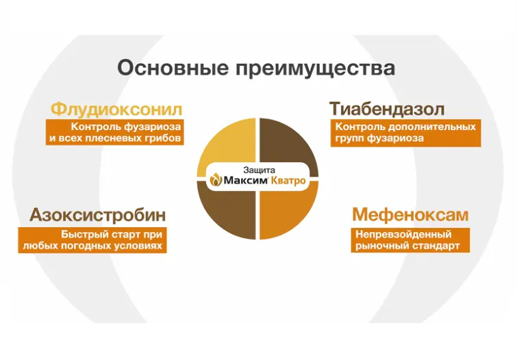 МАКСИМ® КВАТРО защищает семена