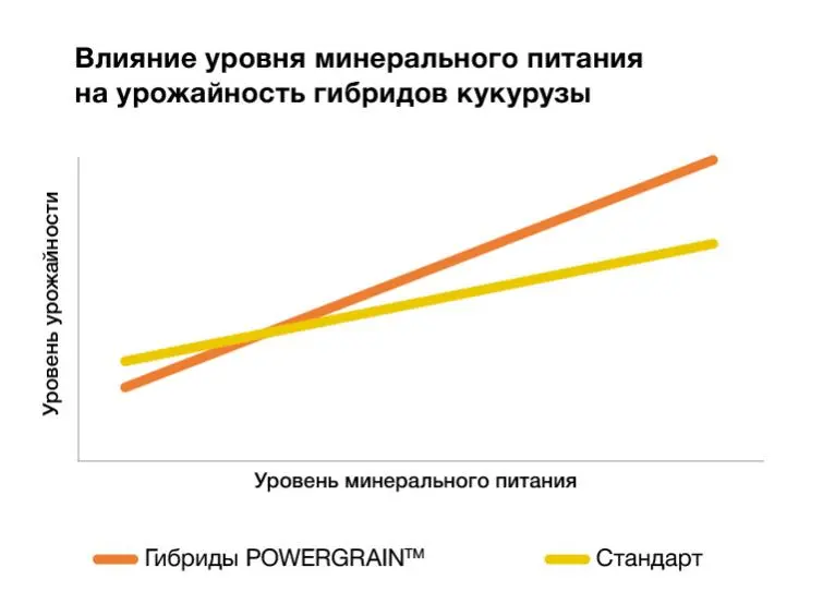 В опытах доказано, что гибриды POWERGRAIN™ наиболее отзывчивы на внесение минеральных удобрений.