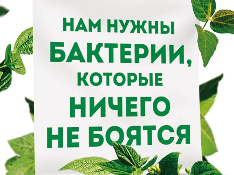 Изменение условий производства при выращивании бактерий позволяет
