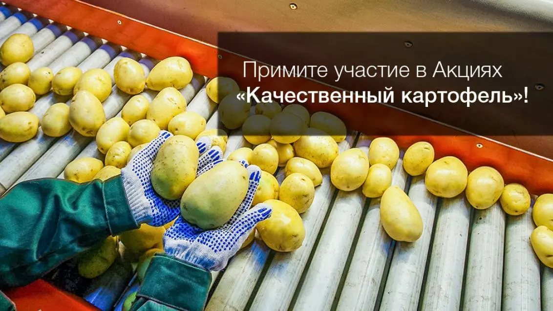 Выиграйте поездку в Нидерланды, приняв участие в акциях!