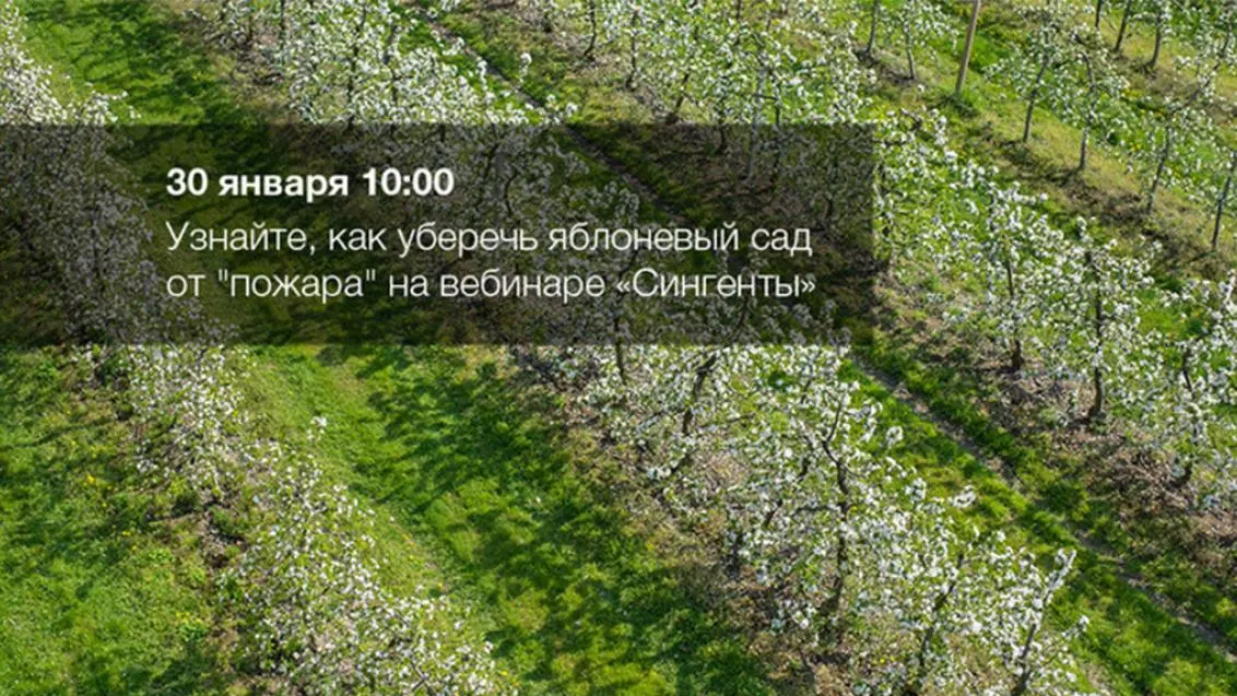 Вебинар «Узнайте, как уберечь яблоневый сад от "пожара"»