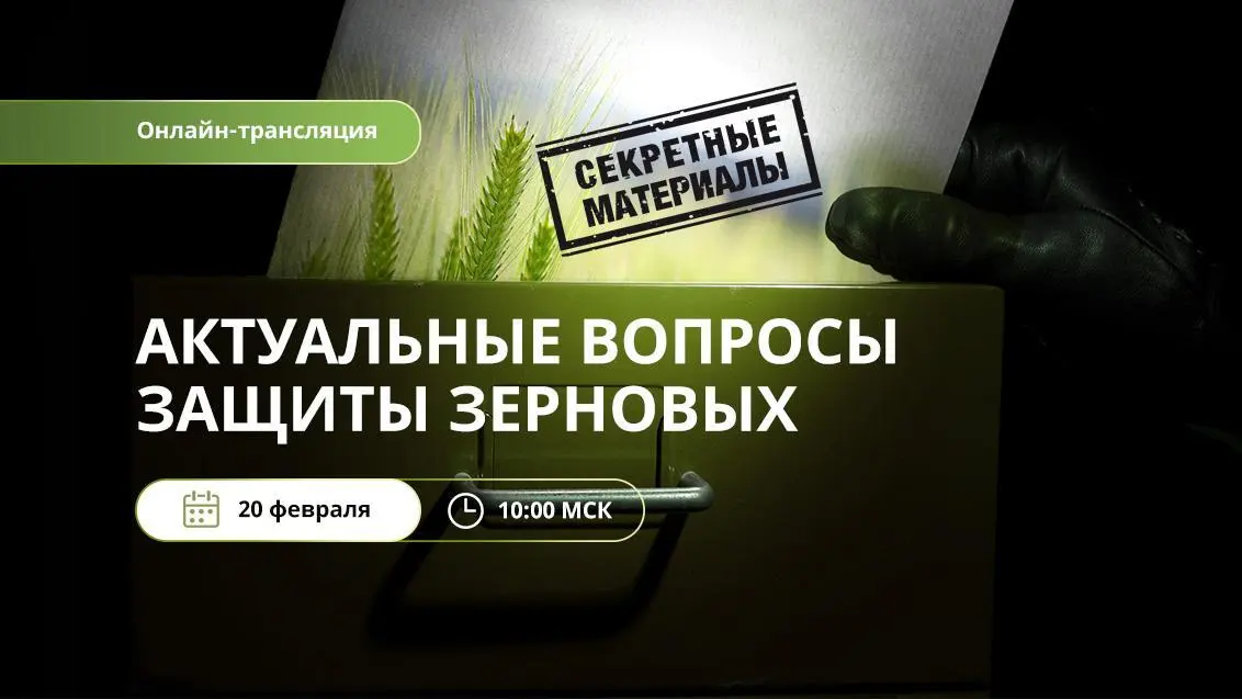 «Секретные материалы: актуальные новости защиты зерновых»