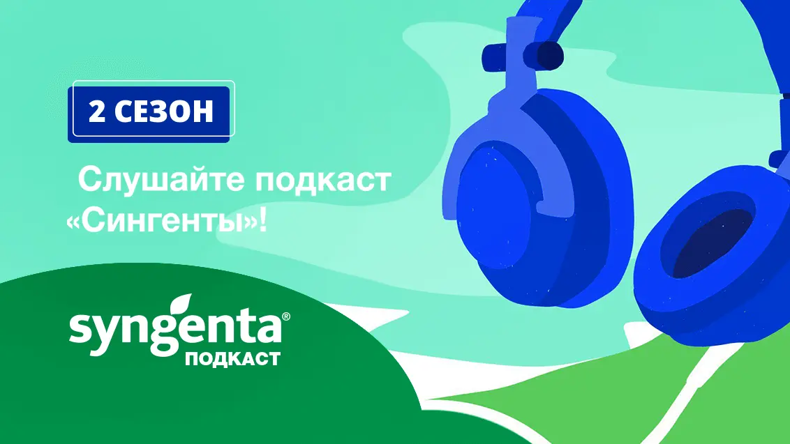 Подкаст «Сингенты». Второй сезон