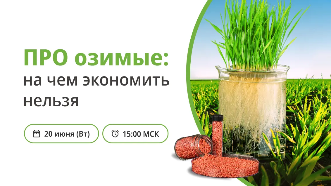 ПРО озимые: на чем экономить нельзя?