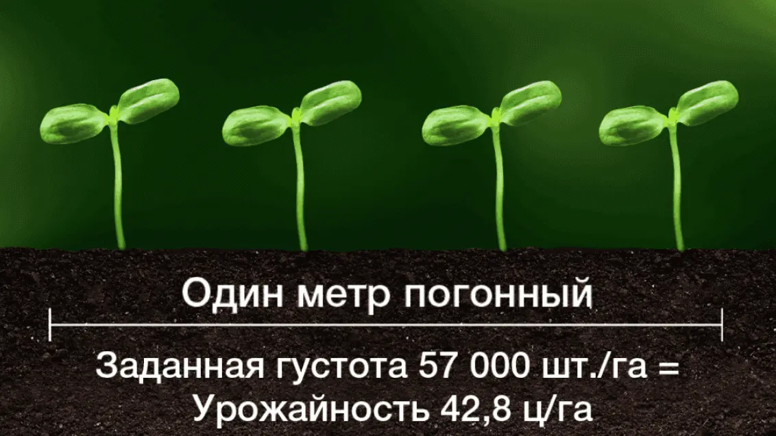 КРУЙЗЕР® ФОРС-Технология