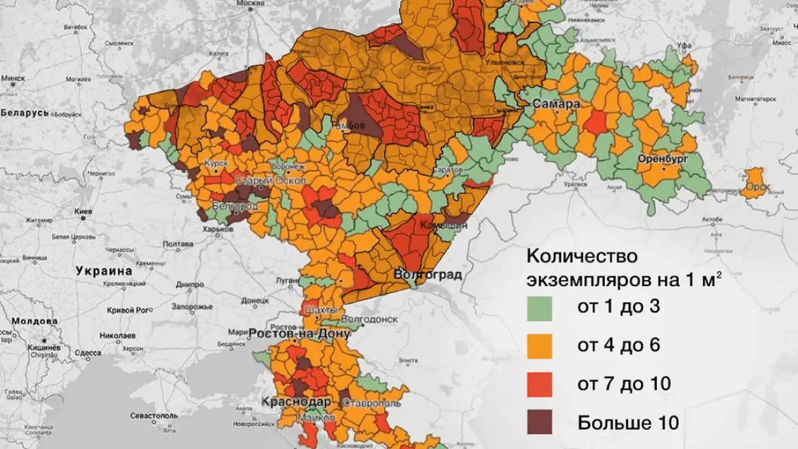 Влияние почвенных вредителей на густоту стояния подсолнечника