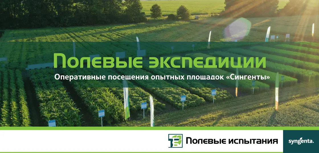 Максимум пользы в минимальное время