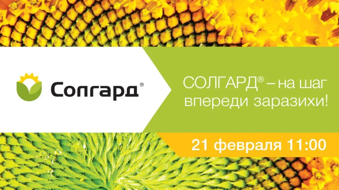 Вебинар «СОЛГАРД — на шаг впереди заразихи!»