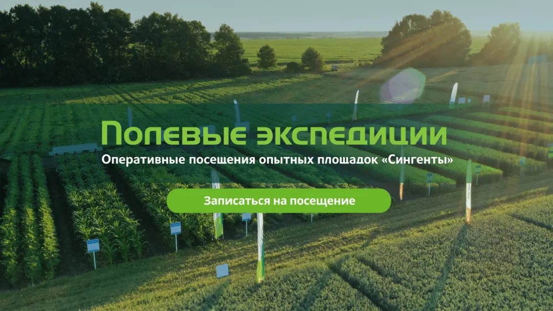 Старт Полевых экспедиций в сезоне 2024