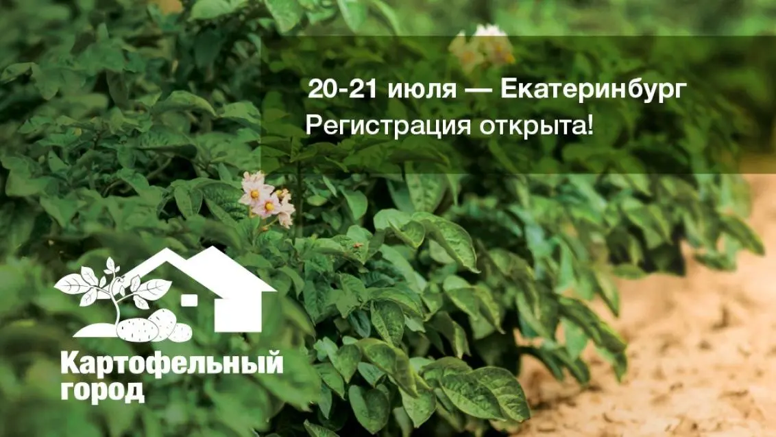 Картофельный город в Свердловской области ждет вас!