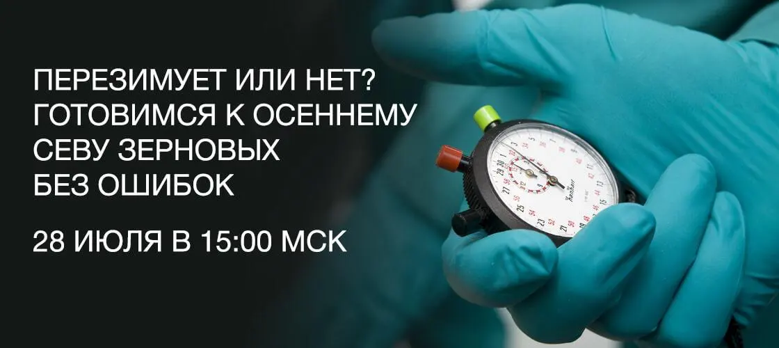 Перезимует или нет? Готовимся к осеннему севу зерновых без ошибок