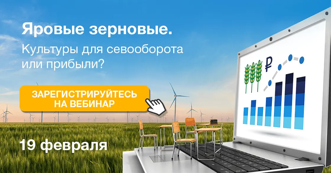 Яровые зерновые. Культуры для севооборота или прибыли?