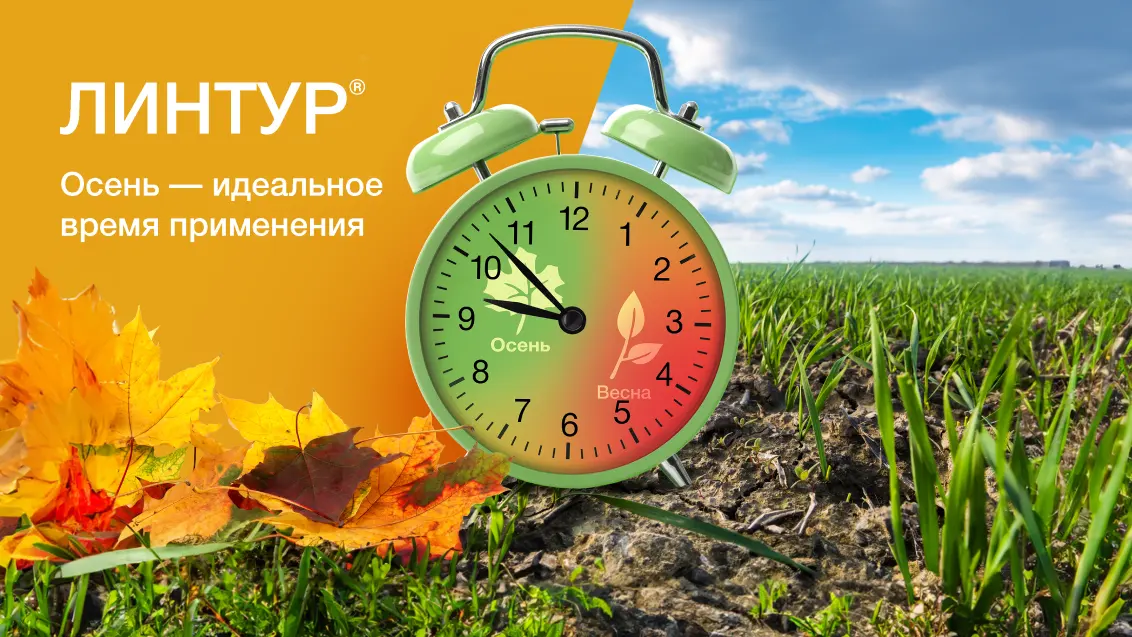 Осенние обработки гербицидами: полезные советы