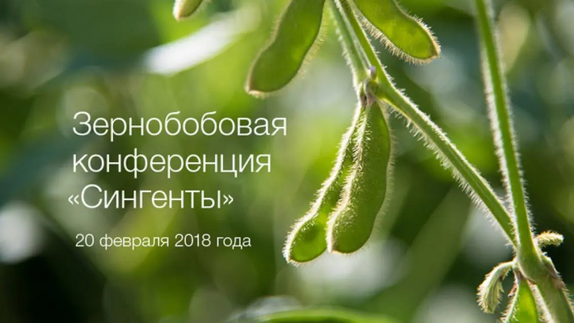 Приглашаем на «Зернобобовую конференцию» в Воронеже 20 февраля