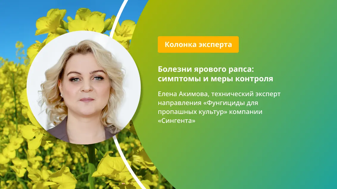 Болезни ярового рапса