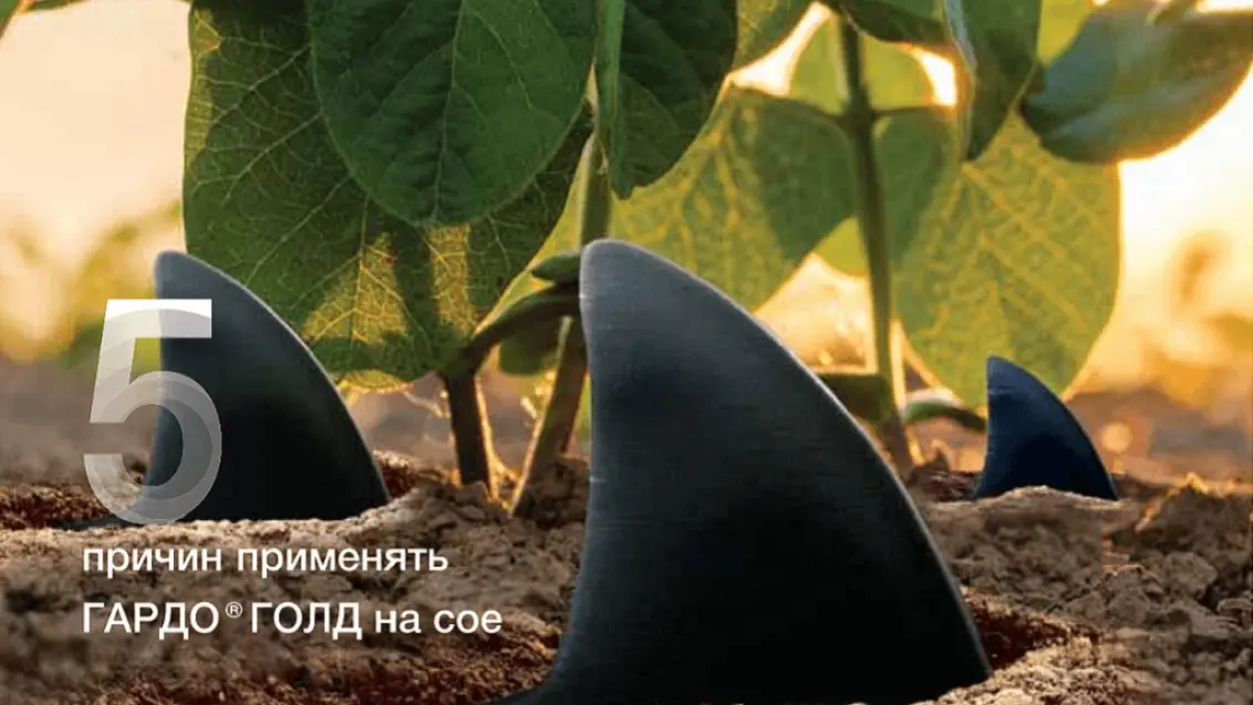 ГАРДО® ГОЛД получил долгожданное расширение регистрации на сое!