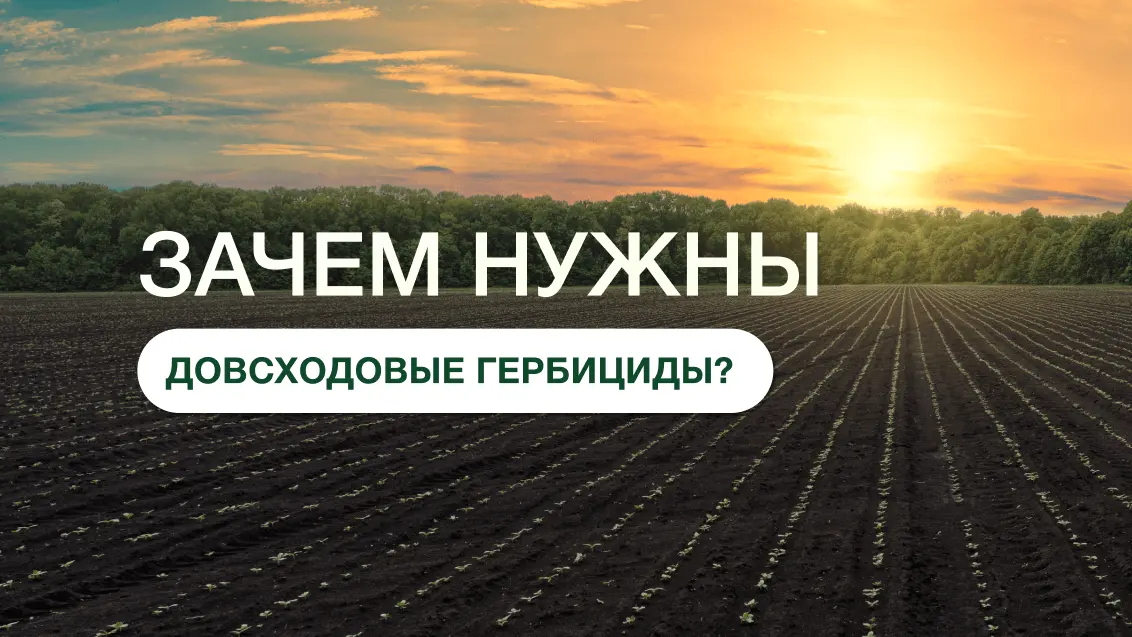 Почвенные гербициды: оправданные вложения