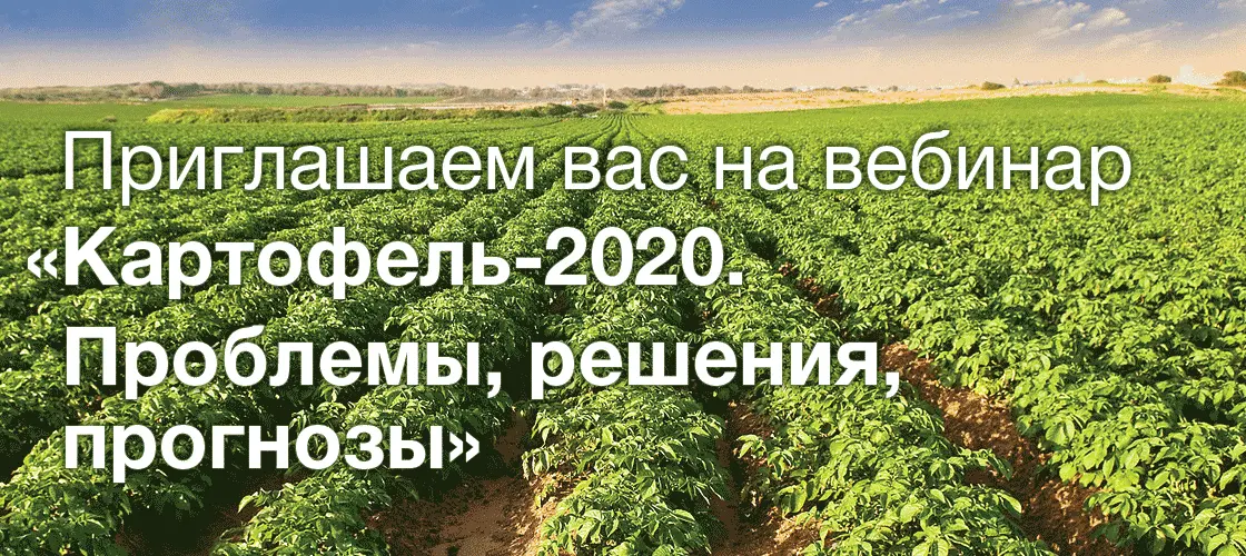 Картофель-2020. Проблемы, решения, прогнозы