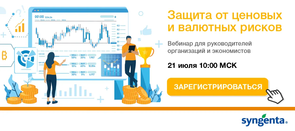 Запись: Защита от ценовых и валютных рисков
