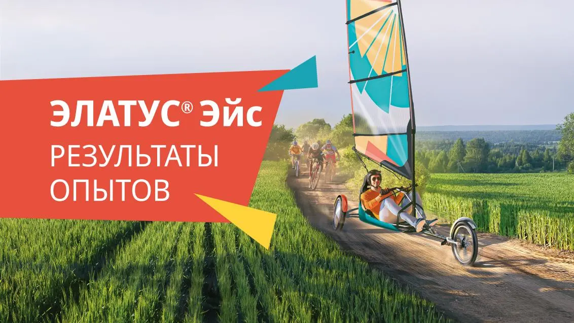 На шаг впереди стандартной защиты зерновых