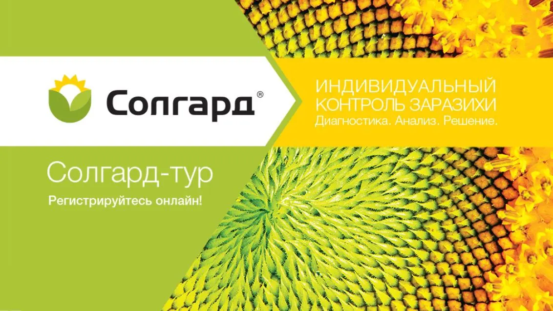 Полевой СОЛГАРД-тур с «Сингентой»