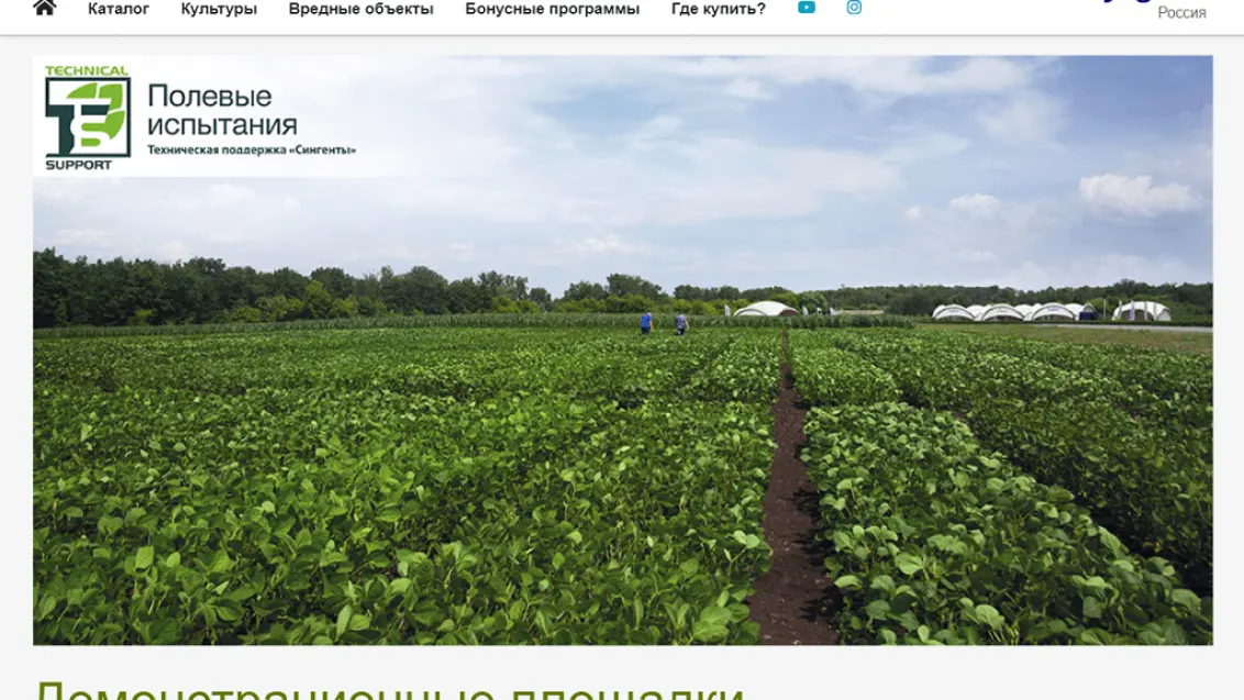 Полевые испытания на сайте «Сингенты»