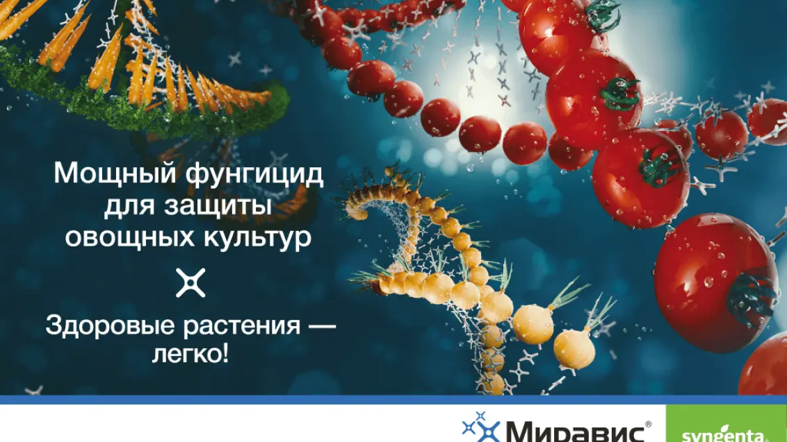 Здоровые овощи вырастить легко!