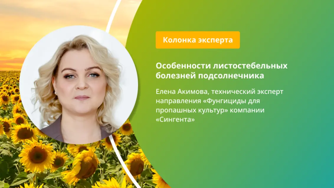 Болезни подсолнечника