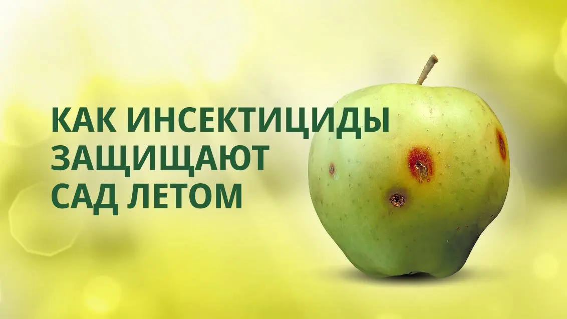 Защита сада от вредителей в летний период: проблемы высоких температур и инновационные решения