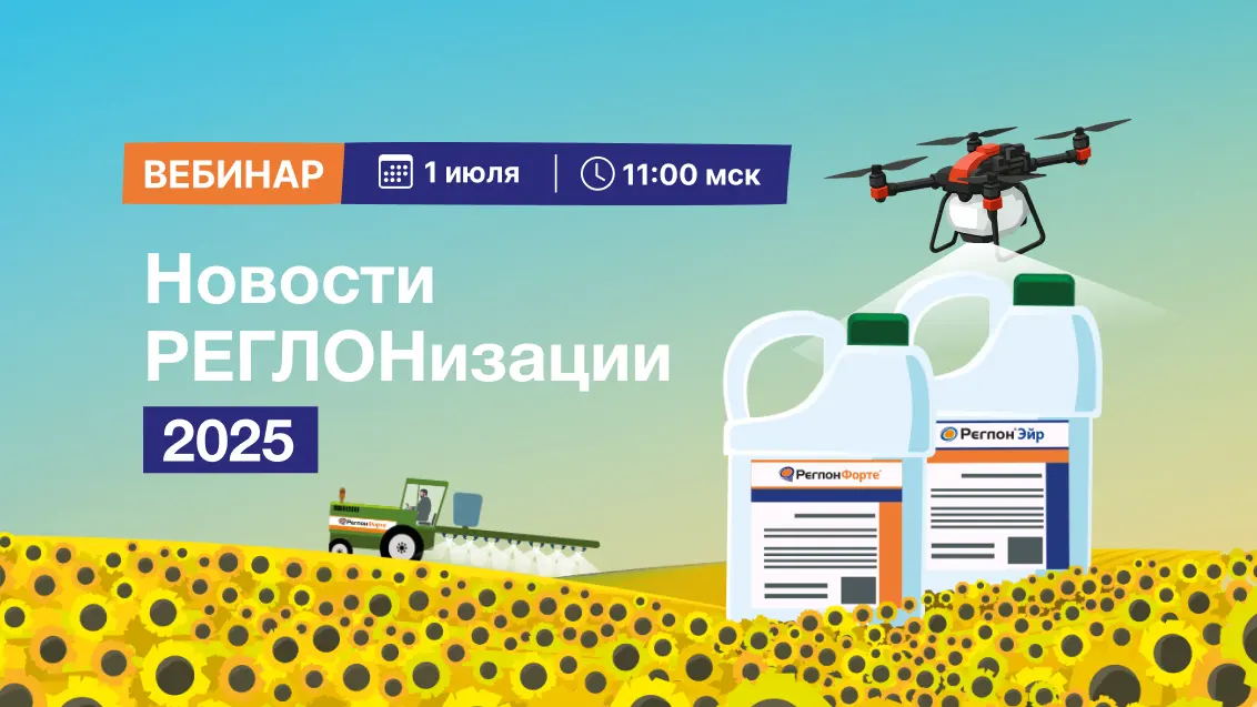 РЕГЛОНизация-2025