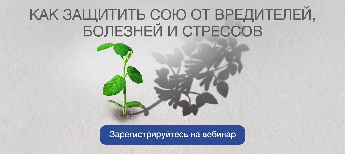 Технология защиты сои от комплекса корневых гнилей, вредителей и септориоза с активным ростом культуры в холодных условиях