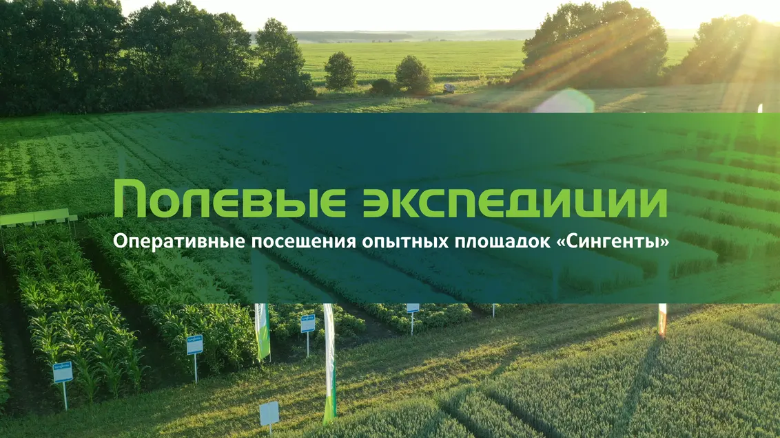 Ценный опыт в удобное время