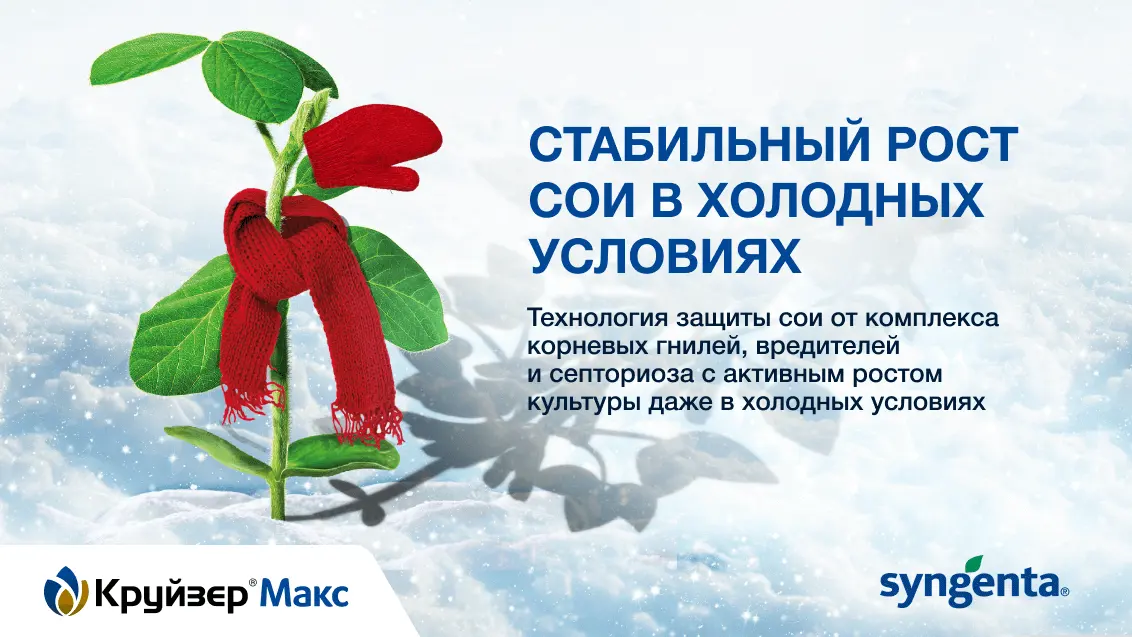 КРУЙЗЕР® Макс — это технология защиты сои с сохранением активного роста культуры в холодных условиях