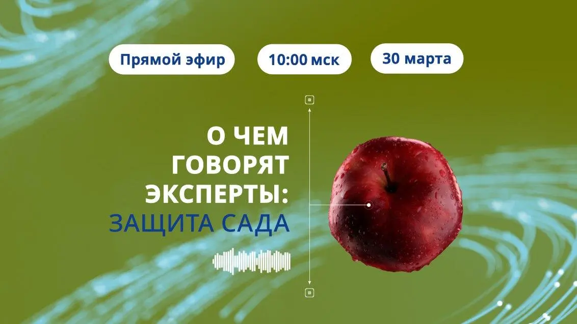 О чем говорят эксперты: защита сада